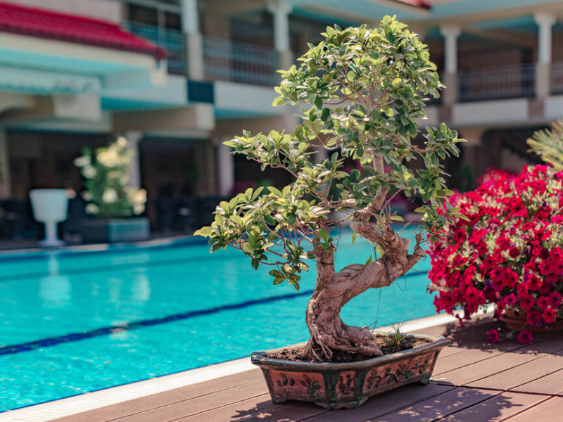 Complex VOX MARIS GRAND RESORT - ADULTS ONLY