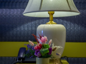 HOTEL CRAIOVA BY PHOENICIA BLUE VIEW