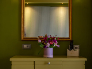 HOTEL CRAIOVA BY PHOENICIA BLUE VIEW