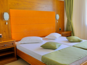 Hotel DELTA