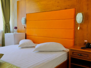 Hotel DELTA