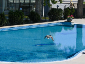 Hotel MODERN ALL INCLUSIVE
