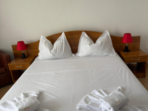 Hotel MURES