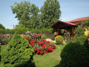 Hotel VALUL MAGIC