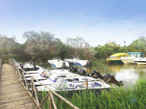 Resort GREEN VILLAGE