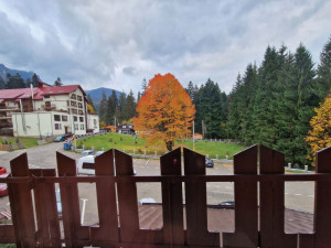 Hotel BRADUL