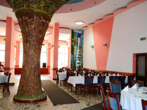 Hotel BRADUL