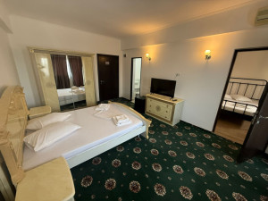 Hotel COSTINESTI ROYAL