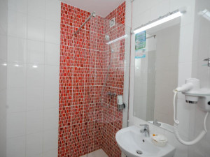 Hotel MINERVA GRAND HOTEL RESORT SPA