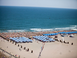 Hotel DELFINUL by Complex STEAUA DE MARE