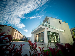 Hotel VIGO
