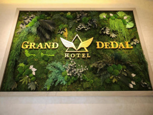Hotel GRAND DEDAL