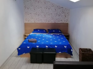 Casa de Vacanta EVA