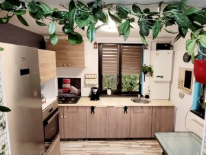 Casa de Vacanta EVA