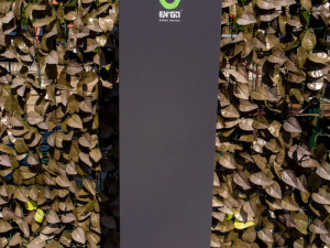 Complex Pescaresc GURA REPEZII