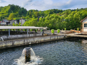 Complex Pescaresc GURA REPEZII