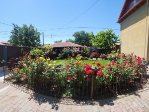 Villa MUGUR