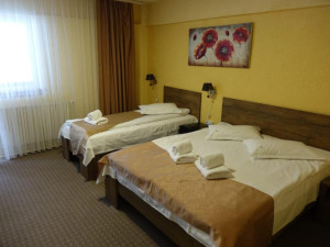 Cabana FULG DE NEA