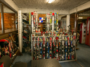 Cabana FULG DE NEA