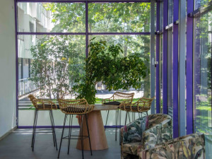 HOTEL IBIS STYLES VENUS (fostul Dana Holiday Club)