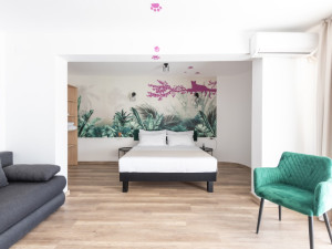 HOTEL IBIS STYLES VENUS (fostul Dana Holiday Club)