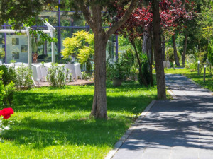HOTEL IBIS STYLES VENUS (fostul Dana Holiday Club)