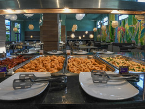 HOTEL IBIS STYLES VENUS (fostul Dana Holiday Club)