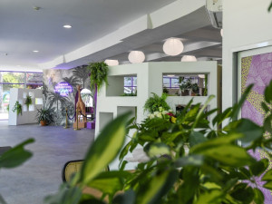 HOTEL IBIS STYLES VENUS (fostul Dana Holiday Club)