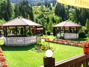 Domeniul STANCA