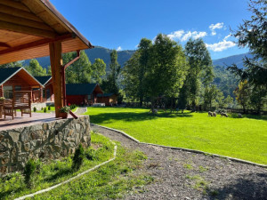 Complex TRAISTENI