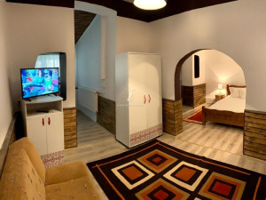 Vila URSU