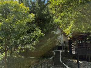 Vila URSU