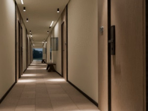 Hotel CUPIDON(fostul Balea)