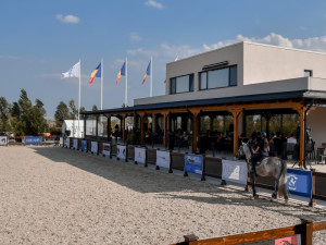 CAMERE BLACK SEA HORSES