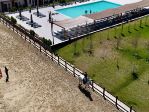 CAMERE BLACK SEA HORSES