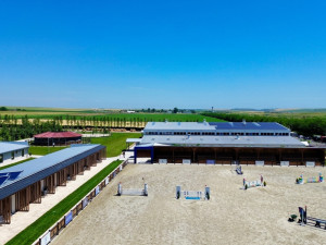 CAMERE BLACK SEA HORSES