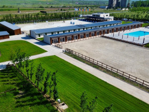 CAMERE BLACK SEA HORSES - Ovidiu