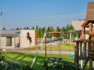 CAMERE BLACK SEA HORSES