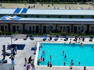 CAMERE BLACK SEA HORSES