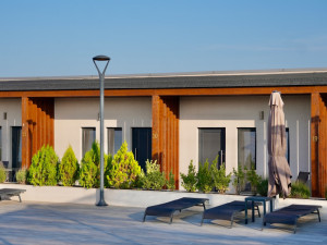 CAMERE BLACK SEA HORSES