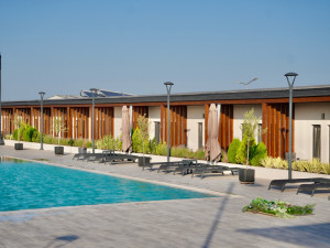 CAMERE BLACK SEA HORSES