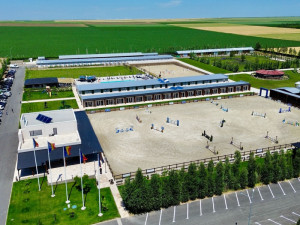 CAMERE BLACK SEA HORSES