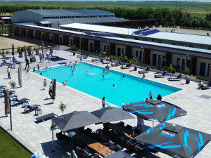 CAMERE BLACK SEA HORSES