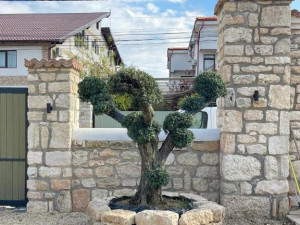CAMERE DE INCHIRIAT ESCAPE ( Adults only)
