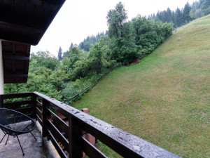SAPPHIRE CHALET - MOIECIU DE SUS
